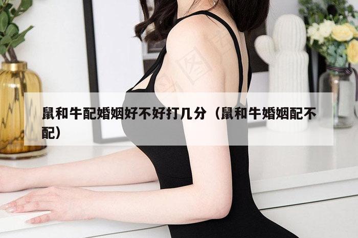 鼠和牛配婚姻好不好打几分(鼠和牛婚姻配不配)