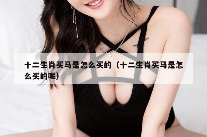 十二生肖买马是怎么买的(十二生肖买马是怎么买的呢)