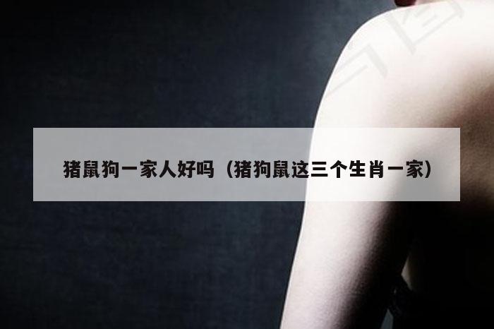 猪鼠狗一家人好吗(猪狗鼠这三个生肖一家)